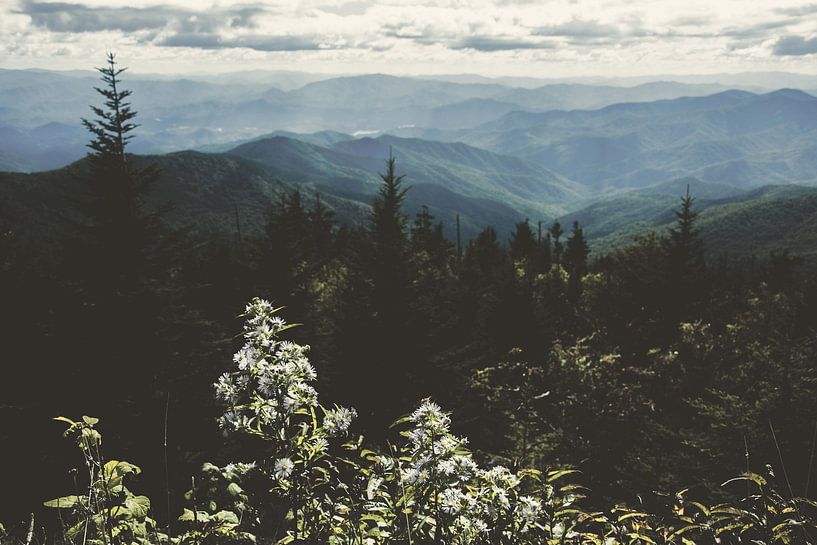 Smoky Mountain National Park Landschap, Nature Magick  van PI Creative Art