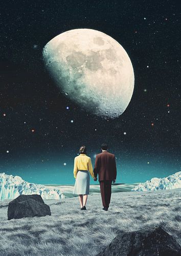 Une promenade parmi les étoiles sur Daniel Donocik