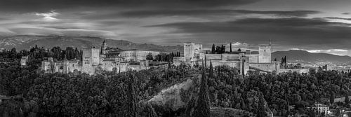 Het Alhambra in Granada 's avonds in zwart-wit