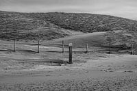Strandpaal in de wind (Oostvoorne)