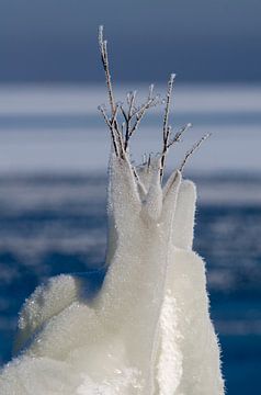 "Ice Hand by Peter de Jong