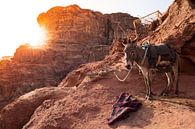 Sonnenuntergang Petra Jordanien von Merijn Geurts Miniaturansicht