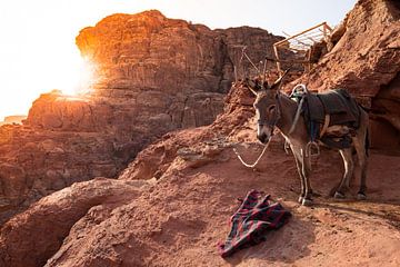 Coucher de soleil Petra Jordan sur Merijn Geurts