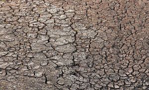 Adembenemende structuur tijdens droogte in veengebied.