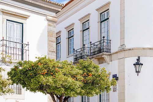 Portugees straatbeeld