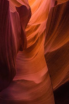 Antelope Canyon von Robert Styppa
