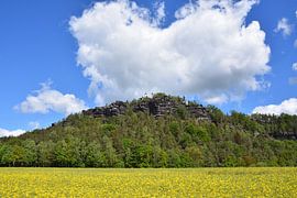 Papststein von Karin Jähne