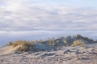Dunes at the beach with sunrise.