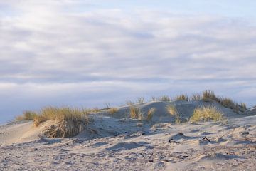 Dunes de la plage au lever du soleil. sur Nature Prints