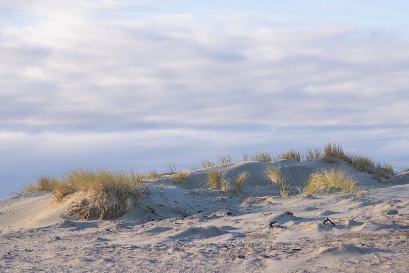 Dunes at the beach with sunrise. by Nature Prints