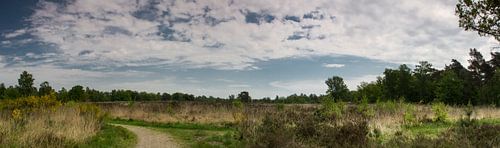 Stille auf der Heide