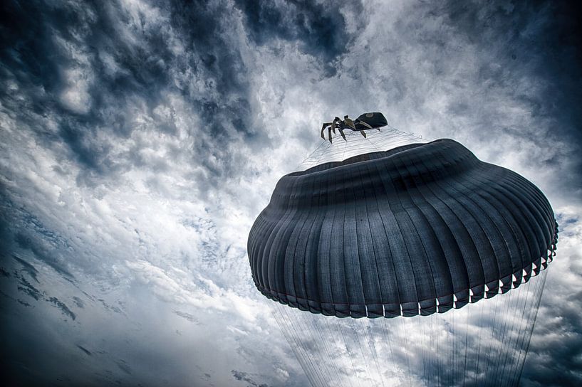 Spiderbol beim Boldrehen auf Fanø by Dirk Bartschat