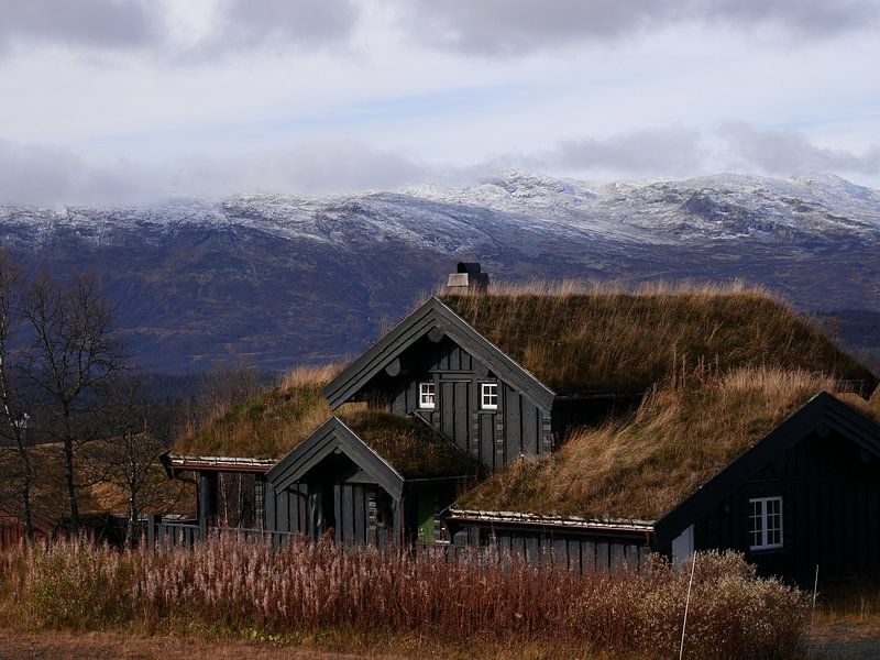 Typische Noorse huisjes met grasdak van Judith van Wijk