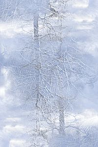 Bomen