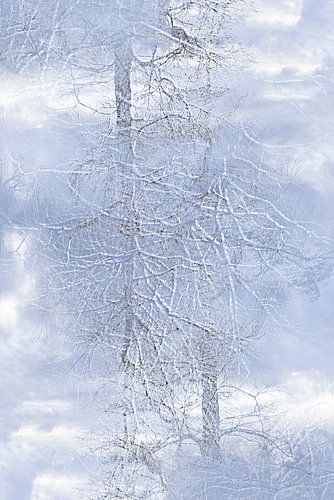 Bomen