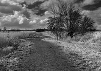 Landschap Korendijkse Slikken