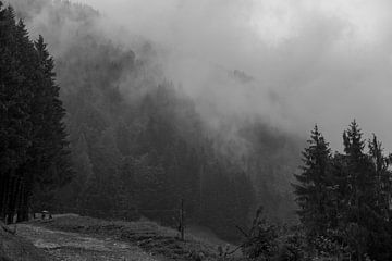 Brouillard sur Burgberg sur Max Krauß