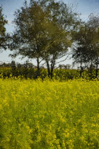 Lumière d'été dans le champ par Geert Van Baelen