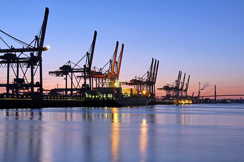 Altenwerder in the evening V