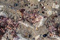 Flotsam and jetsam