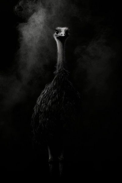 Ostrich by Poster Art Shop