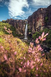 New Zealand Taranaki Falls by Jean Claude Castor