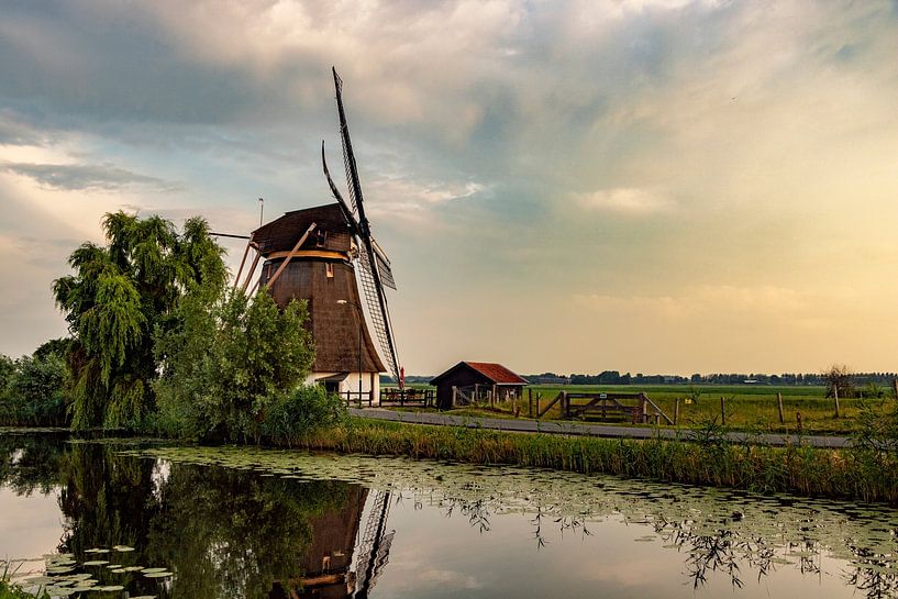 Mill in picturesque Dutch landscape by Mirjam Brozius