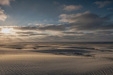 Dunes de sable sur la plage d'Ameland sur Paul Veen
