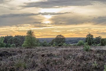 Pittoreske heide van Jürgen Eggers