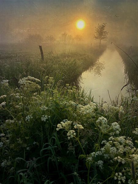 Haagse Beemden sunrise by Andre Gerbens
