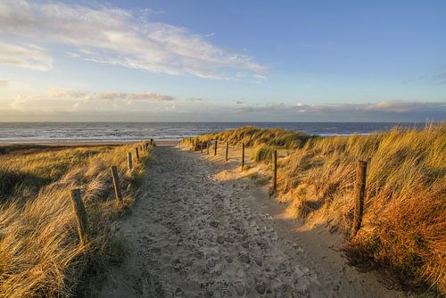 Duin en strand aan de kust van Nederland