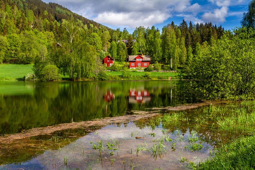 Lente in Noorwegen van Hamperium Photography