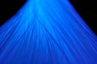 Glasvezel kabel verlichting in blauw van Sjoerd van der Wal Fotografie thumbnail
