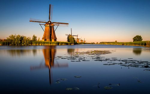 Kinderdijk Golden Hour 1 by Joram Janssen