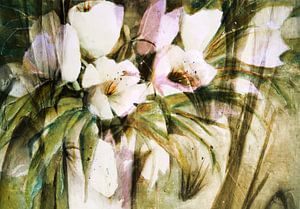 Weiße Tulpen in Vase - abstrakt