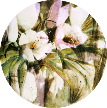 witte Tulpen - samenvatting van Christine Nöhmeier