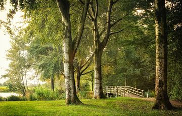 Le pont dans le Biesbosch néerlandais sur Jos Erkamp