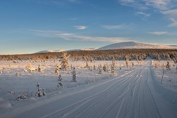 Winter landschap van Marco Lodder