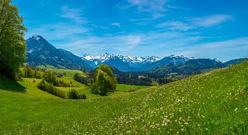 Allgäu sur Walter G. Allgöwer