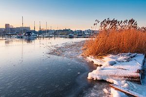 Blick über die Warnow auf Rostock im Winter