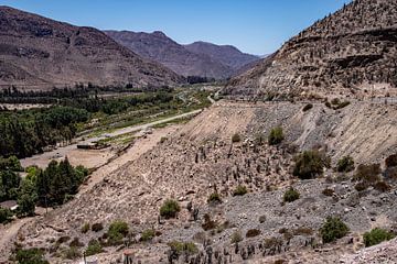 Blick ins Elqui Tal