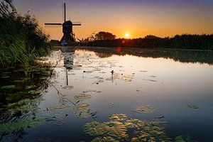 Molen aan water met lelies van Björn van den Berg