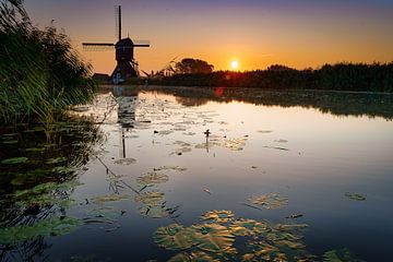 Mill by the water with lilies by Björn van den Berg