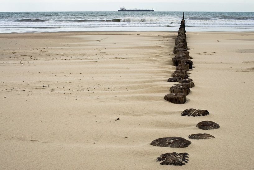 Zeeuws strand van Vincent van Kooten