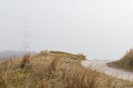 Nebel um den Leuchtturm von Ameland von Rob IJsselstein Miniaturansicht