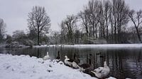 Sneeuwseizoen van fotograaf chaimaa thumbnail