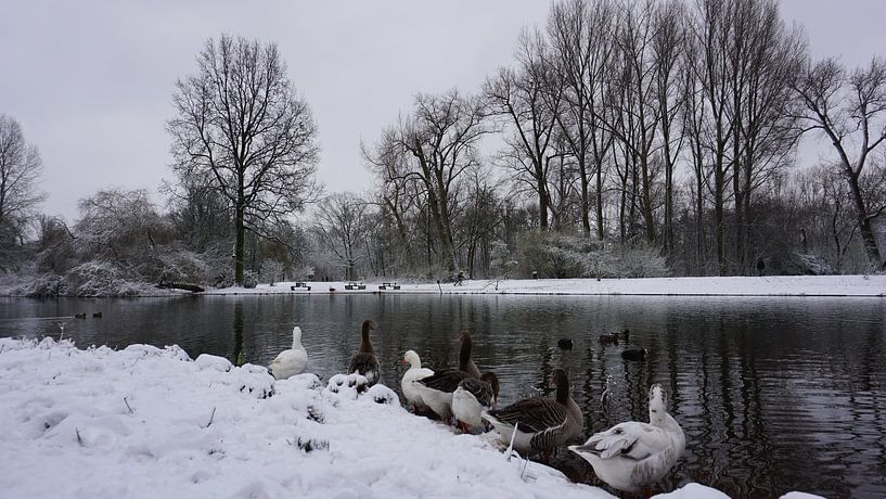 Sneeuwseizoen van fotograaf chaimaa