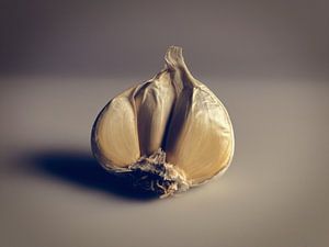 Knoflook