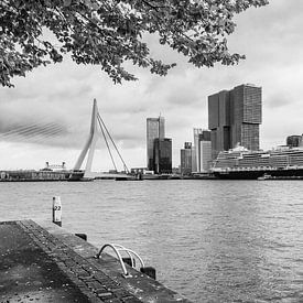 Hafenstadt Rotterdam von Fokke Terpstra
