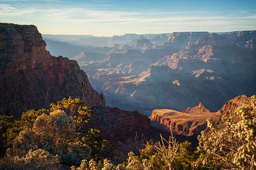 Prachtige Grand Canyon van Martin Podt